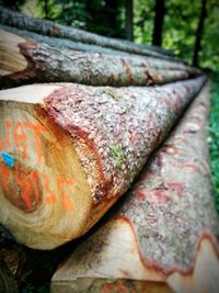 Stack of logs