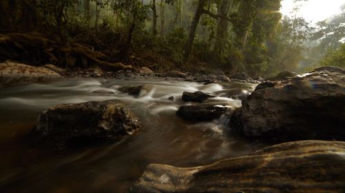 Stream flowing through rocks in forest