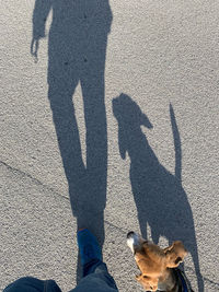 Shadow of man with dog
