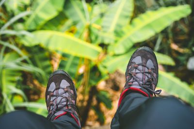 Low section of person wearing shoes against banana trees