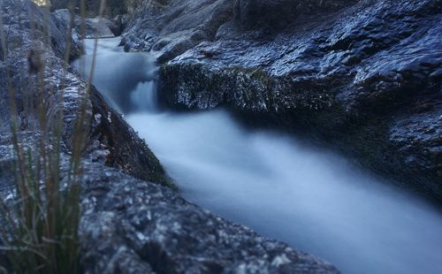 Scenic view of waterfall in forest