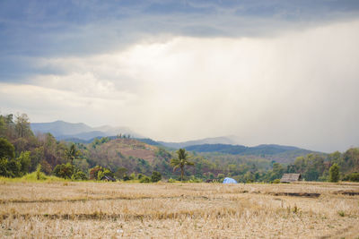 Scenic view of field against sky