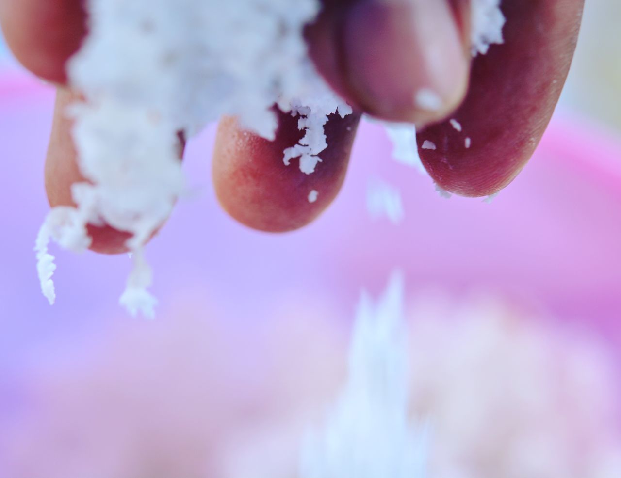focus on foreground, close-up, freshness, selective focus, frozen, water, growth, nature, person, day, fragility, beauty in nature, purity, human finger