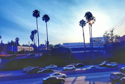 Cars parked in parking lot