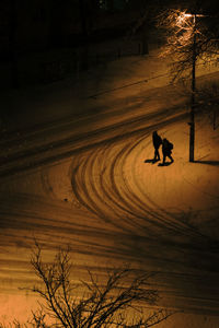 Man with horse in winter