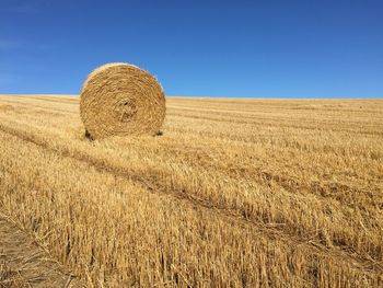 Hay bales in wheat field against clear blue sky