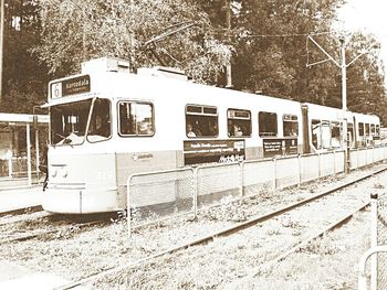 Train on railroad track