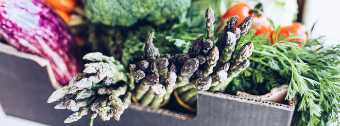 Close-up of vegetables