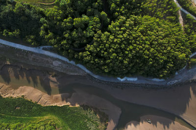 Scenic view of waterfall