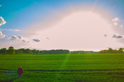 Scenic view of field against sky during sunset