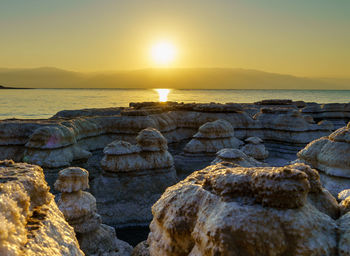 Dead sea salt mushrooms beach  against sky on sunrise 