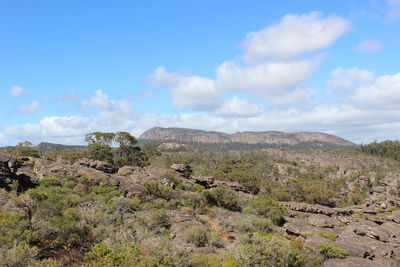 Scenic view of landscape against cloudy sky