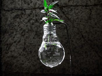 Close-up of glass vase against black background