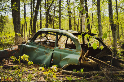 Abandoned car in forest