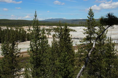 Plants growing on landscape against sky