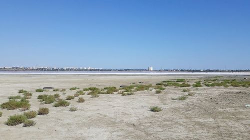 Scenic view of beach against clear blue sky