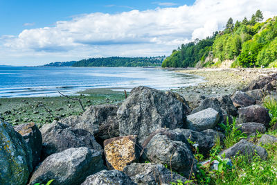 Rock line the at saltwater state park in des moines, washington.