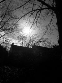 Low angle view of silhouette bare trees against sky