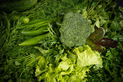 High angle view of green vegetables at market
