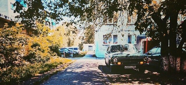 CAR PARKED ON COUNTRY ROAD ALONG TREES