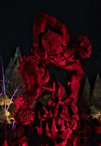Close-up of red flowers