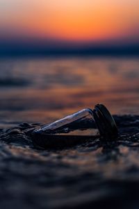 Close-up of crab on beach against sky during sunset