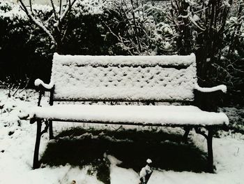 Snow covered landscape