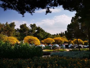 Scenic view of park against sky