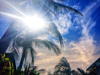 Low angle view of coconut palm trees against bright sun