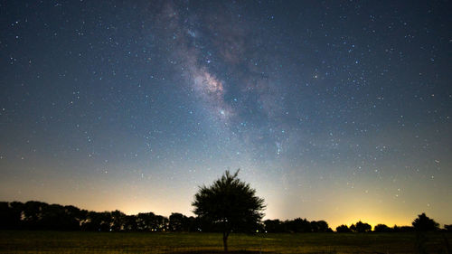 A tree silhouette in front of the night sky and milky way galaxy.