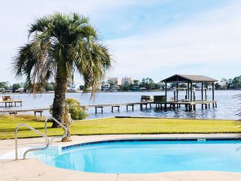 Palm trees in swimming pool