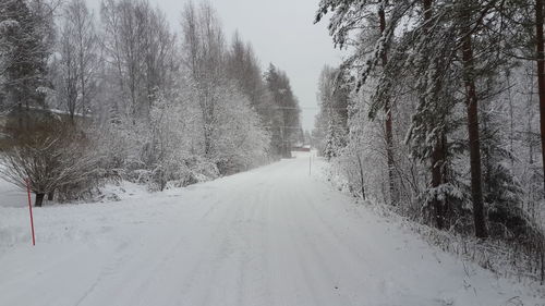 Snow covered trees against sky