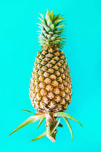 Close-up of banana against blue background