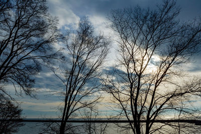 Bare trees against cloudy sky