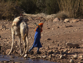 Tuareg walking with a dtomedary