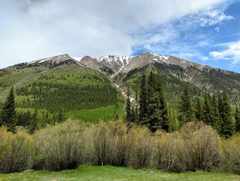 Panoramic shot of landscape against sky