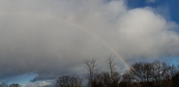 Low angle view of trees against rainbow in sky