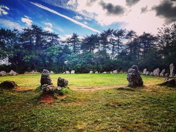 Trees on landscape against sky