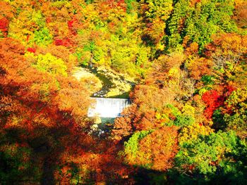 Scenic view of autumnal trees by lake