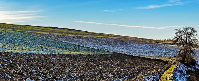 Scenic view of field against sky
