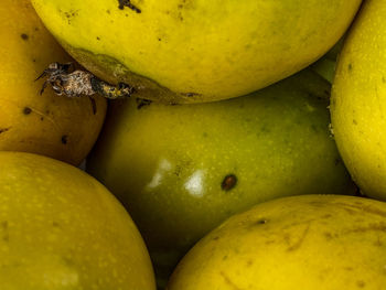 Full frame shot of passion fruits in market
