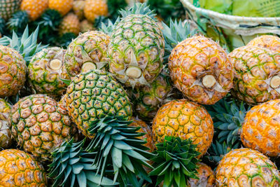 Pineapple pineapples for sale