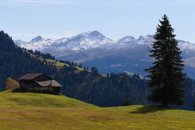 mountain