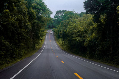 Road passing through trees