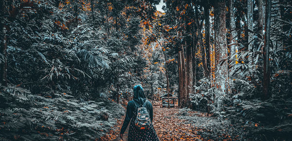 Man standing by trees in forest