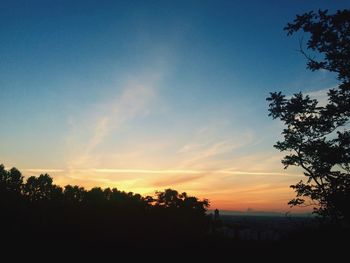 Silhouette of trees at sunset