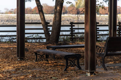 Empty bench in park during autumn 