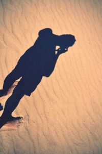 Shadow of dog on sand