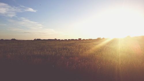 Scenic view of landscape at sunset