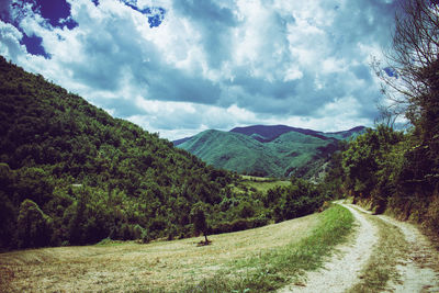 Scenic view of landscape against sky